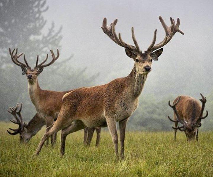National Geographic Türkiye'den en güzel fotoğraflar 