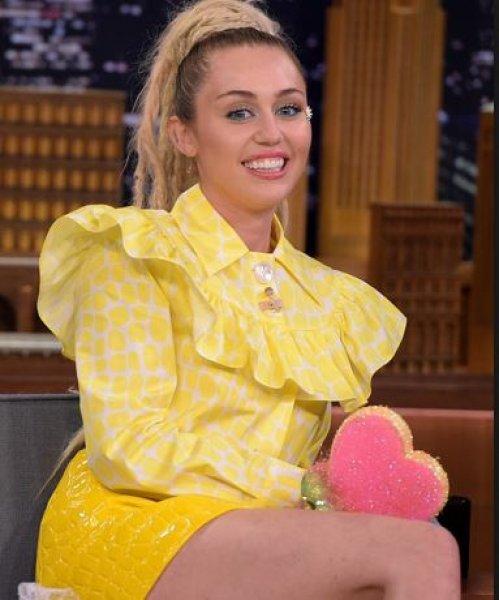 Miley Cyrus’a kedi saldırdı