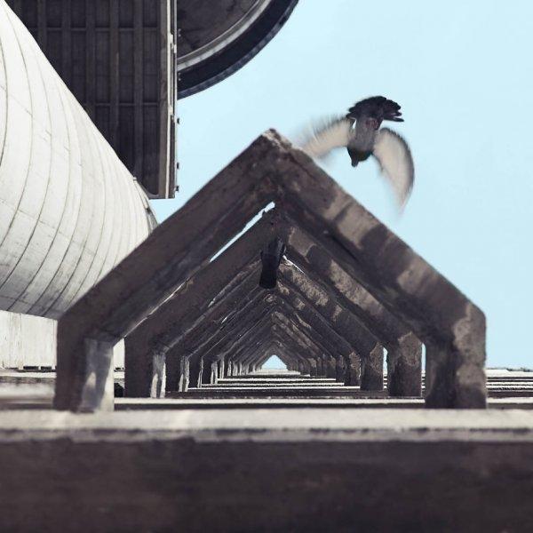 Belgrad mimarisi ihtişamıyla büyülüyor