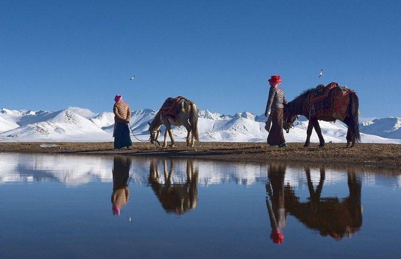 Doktor Marcellian Tan'ın objektifinden doğa 