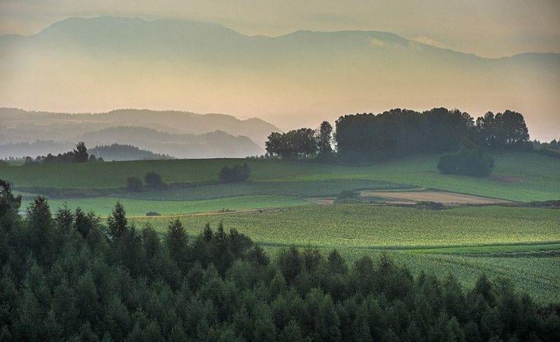 Doktor Marcellian Tan'ın objektifinden doğa 
