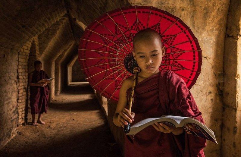 Doktor Marcellian Tan'ın objektifinden doğa 