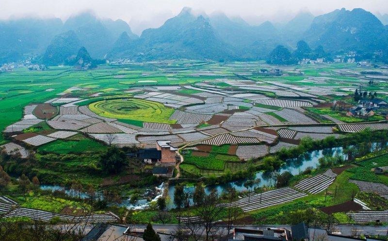 Doktor Marcellian Tan'ın objektifinden doğa 