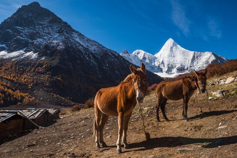 Doktor Marcellian Tan'ın objektifinden doğa 