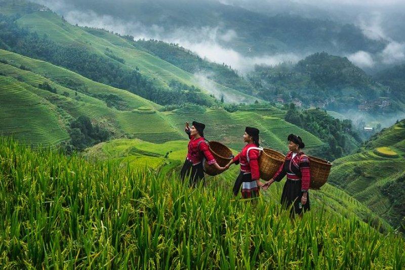 Doktor Marcellian Tan'ın objektifinden doğa 