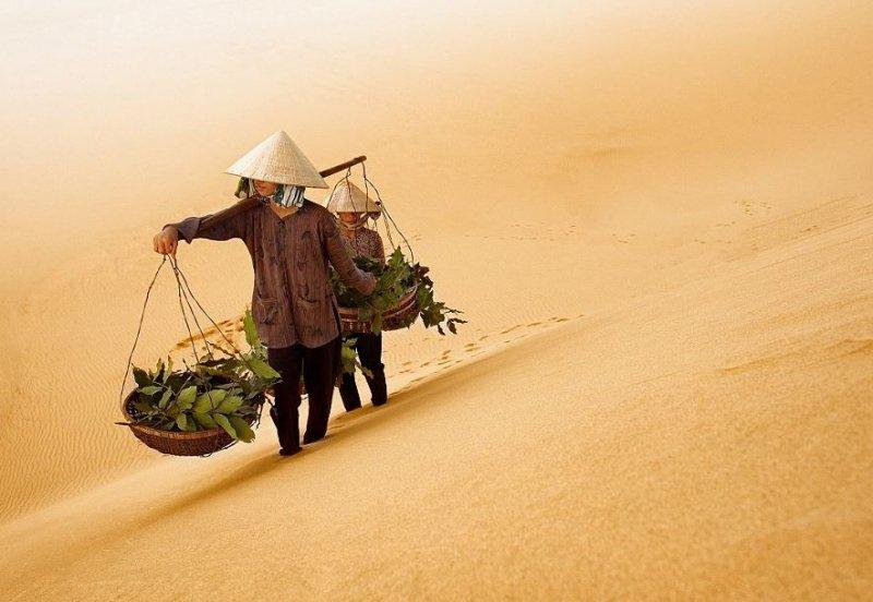 Doktor Marcellian Tan'ın objektifinden doğa 