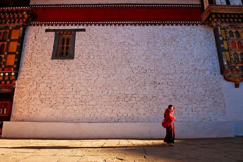 Doktor Marcellian Tan'ın objektifinden doğa 