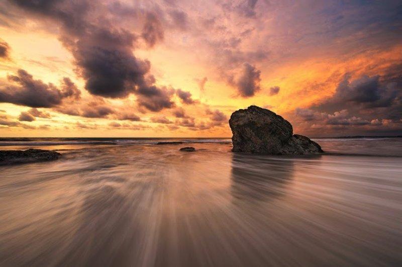 Doktor Marcellian Tan'ın objektifinden doğa 