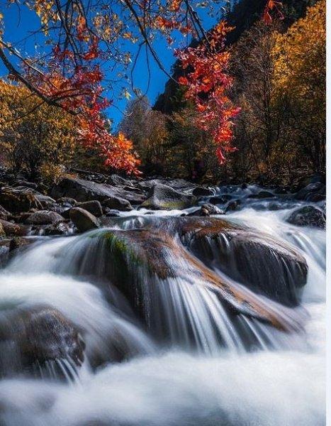 Doktor Marcellian Tan'ın objektifinden doğa 
