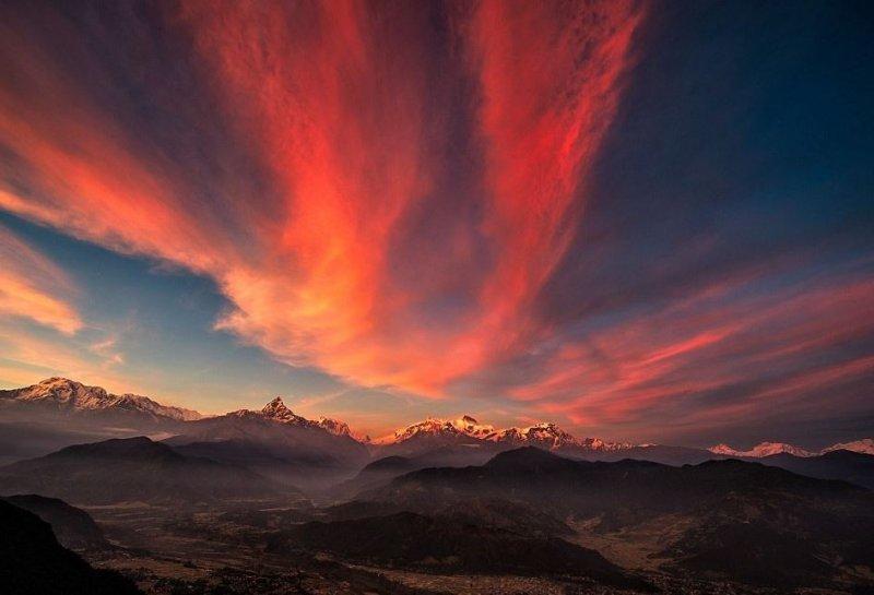 Doktor Marcellian Tan'ın objektifinden doğa 