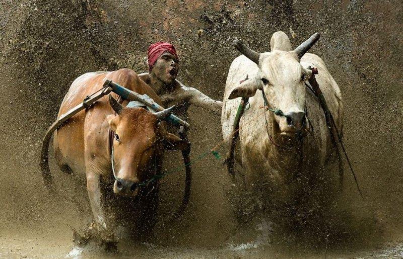 Doktor Marcellian Tan'ın objektifinden doğa 