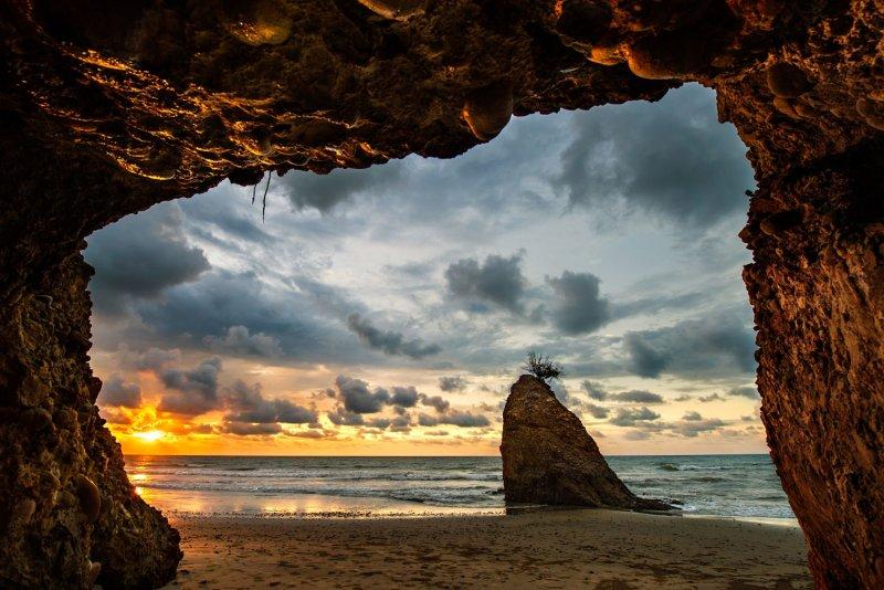 Doktor Marcellian Tan'ın objektifinden doğa 