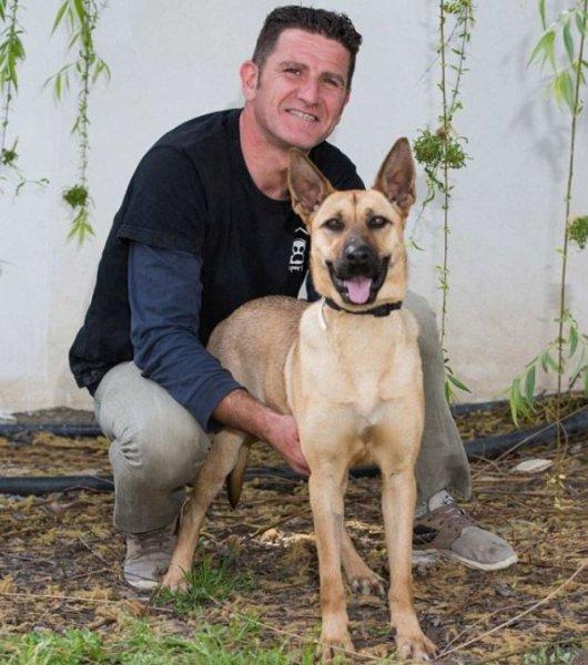 Açlıktan ölmek üzere olan köpeğin inanılmaz değişimi 