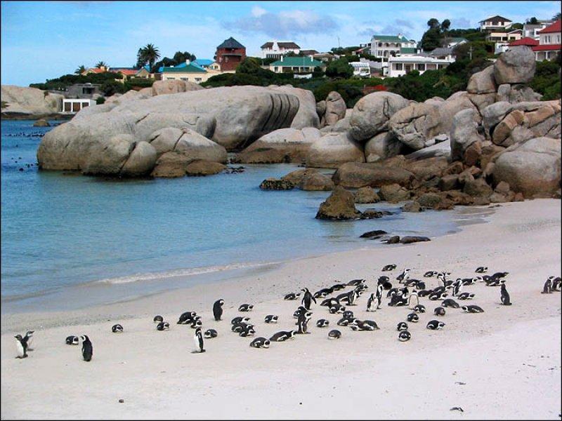 Güney Afrika'nın en güzel şehri: Cape Town