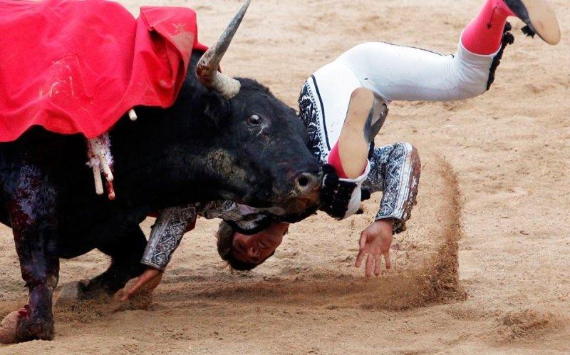  Boğa güreşinde boynuzlanan matadorlar