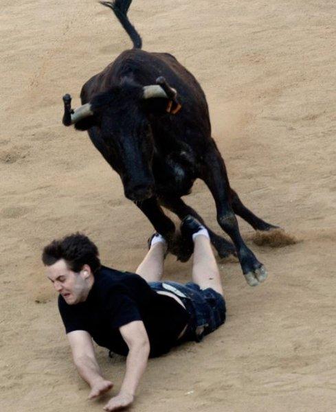  Boğa güreşinde boynuzlanan matadorlar