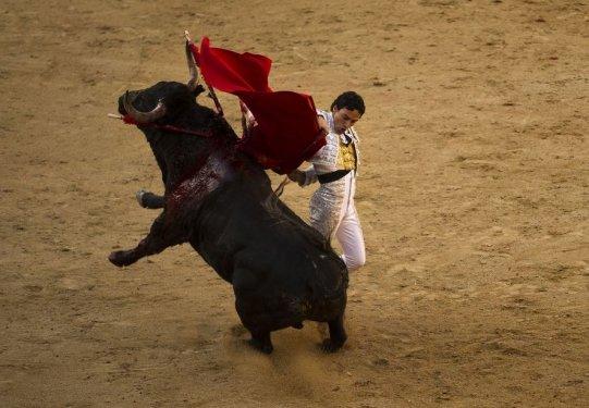  Boğa güreşinde boynuzlanan matadorlar