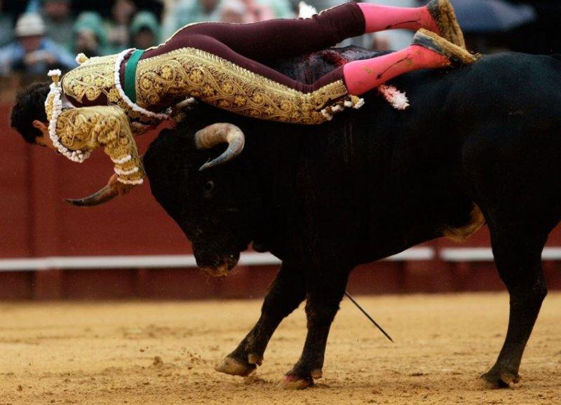  Boğa güreşinde boynuzlanan matadorlar