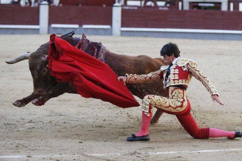  Boğa güreşinde boynuzlanan matadorlar