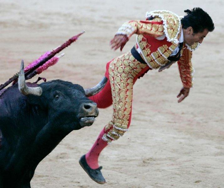 Boğa güreşinde boynuzlanan matadorlar