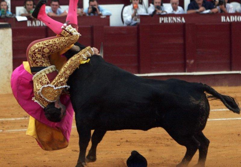  Boğa güreşinde boynuzlanan matadorlar