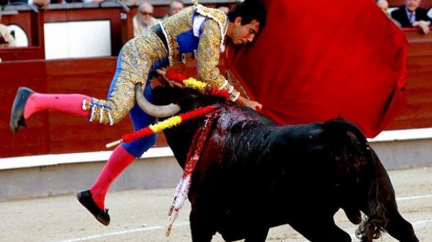  Boğa güreşinde boynuzlanan matadorlar