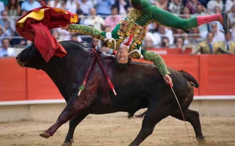  Boğa güreşinde boynuzlanan matadorlar