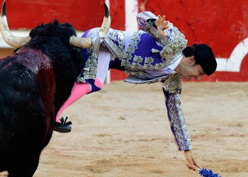  Boğa güreşinde boynuzlanan matadorlar