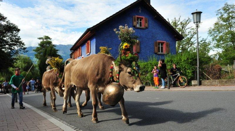 Türkiye'nin vizesiz gideceği yeni ülkeler