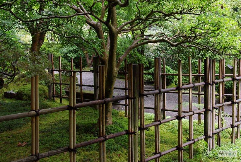 Yeni trend bambu bahçe çiti 