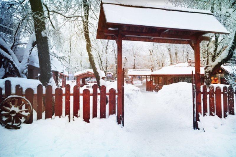 Yeni trend bambu bahçe çiti 