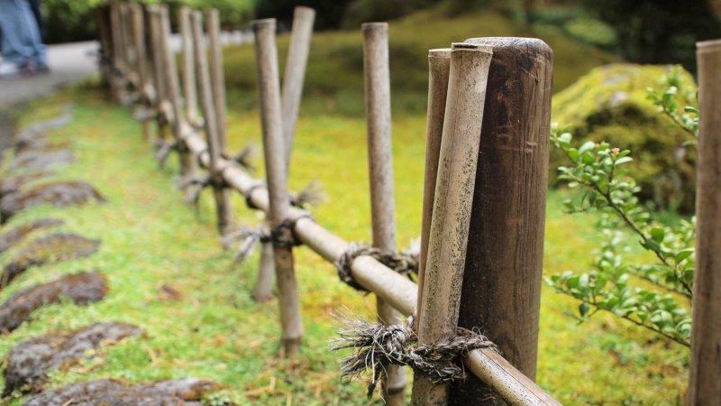 Yeni trend bambu bahçe çiti 