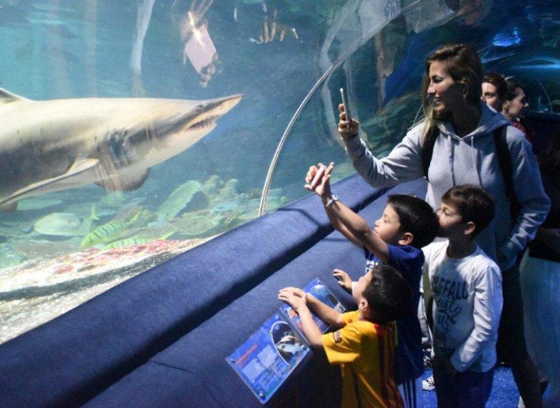 Çağla Şıkel oğullarıyla Anneler Günü'nü kutladı