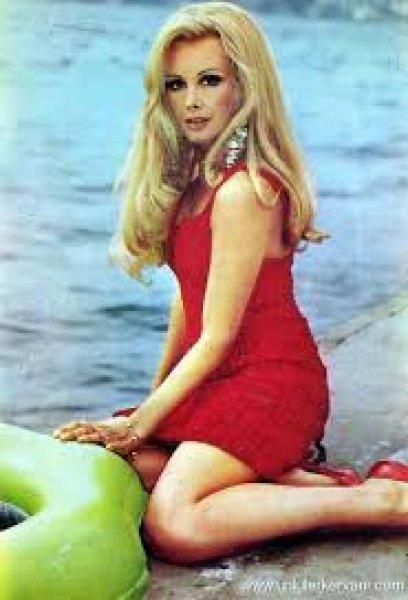 Filiz Akın’ın 4 bin 500 fotoğrafı sergiye sunulacak 