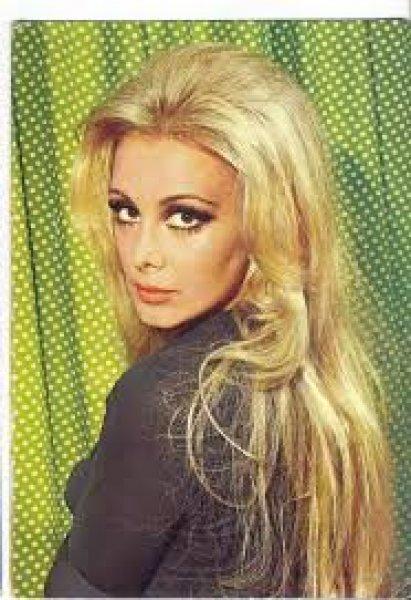 Filiz Akın’ın 4 bin 500 fotoğrafı sergiye sunulacak 