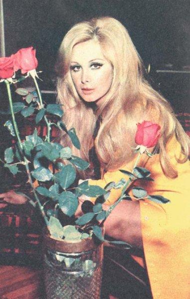 Filiz Akın’ın 4 bin 500 fotoğrafı sergiye sunulacak 