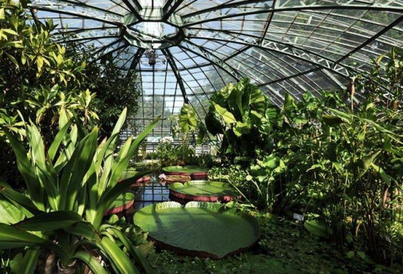 Alplerin kozmopolit şehri: Basel