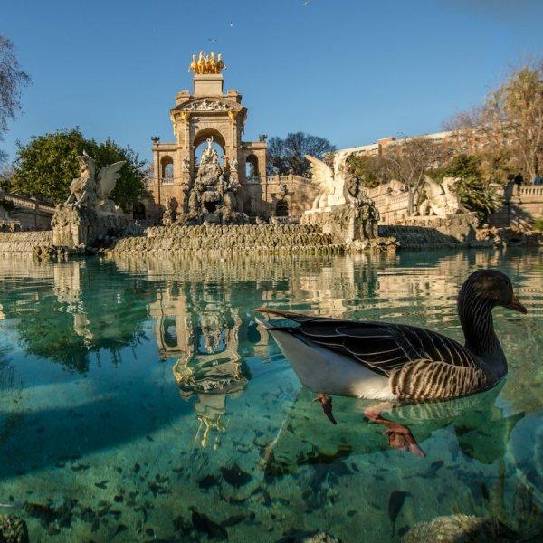 Mimari fantezinin başkenti Barcelona