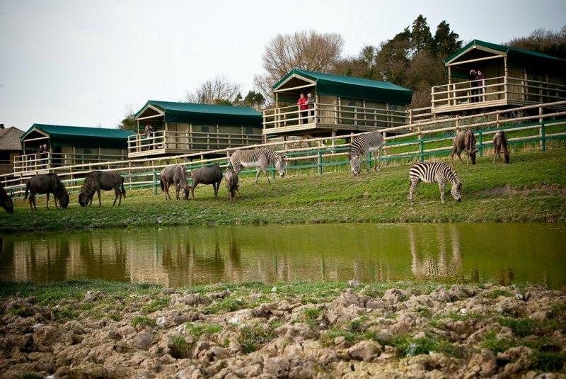 Dünyanın en ilginç 20 oteli