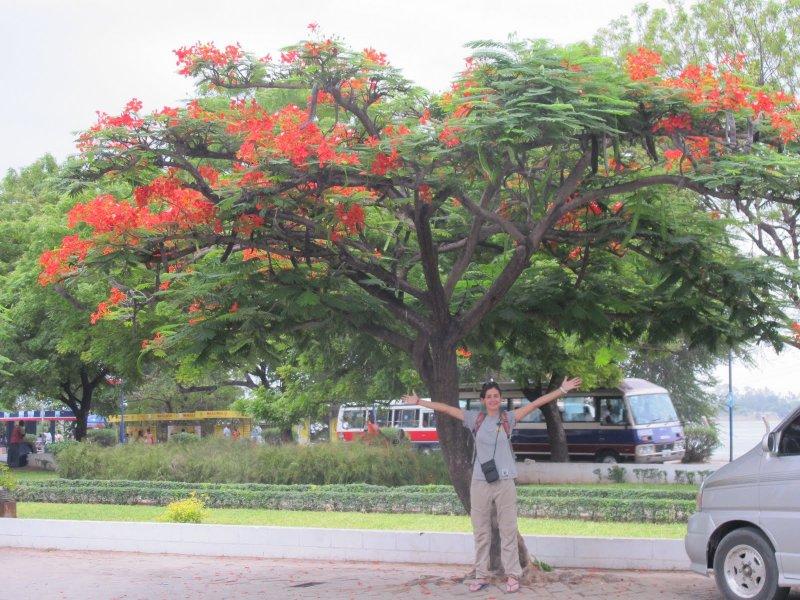 Tanzanya'nın en büyük şehri: Darüsselam