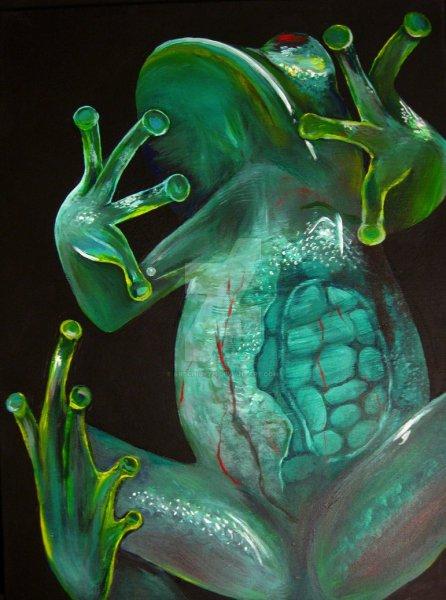 En ilginç kurbağa türleri