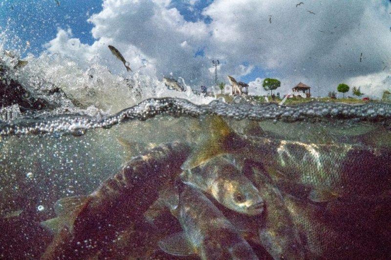 Van Gölü derinliklerinde tarihi eser 