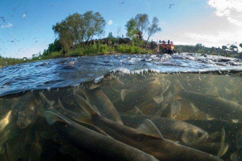 Van Gölü derinliklerinde tarihi eser 