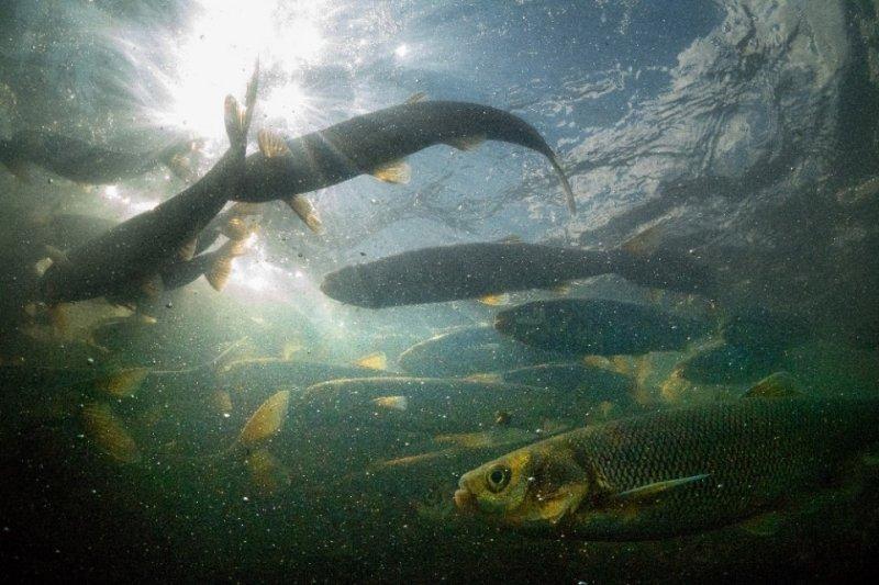 Van Gölü derinliklerinde tarihi eser 