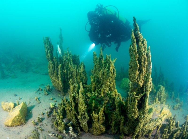 Van Gölü derinliklerinde tarihi eser 