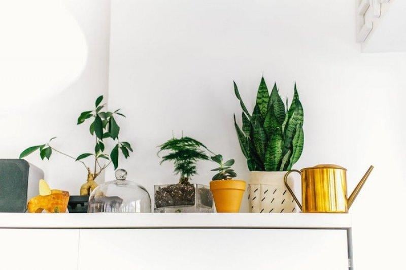 55 metrekarelik evi olduğundan geniş gösteren Kanadalı çift 