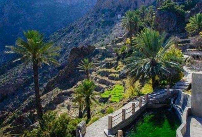 Umman'daki Wekan köyünde oruç süresi 3 buçuk saat