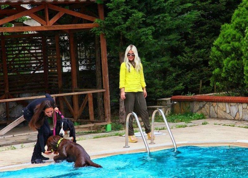 Seren Serengil'in son hali 