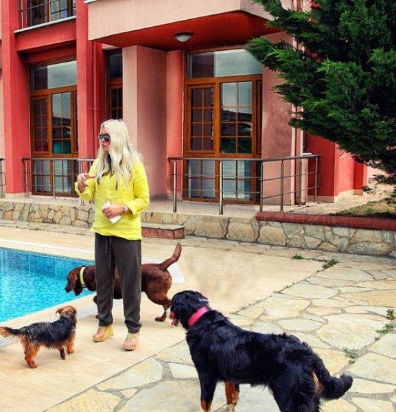 Seren Serengil'in son hali 