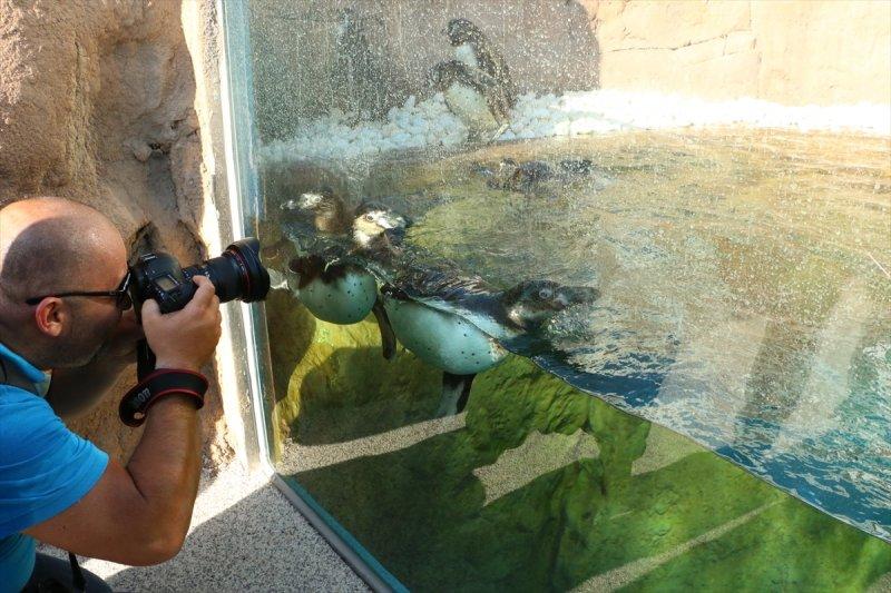 Türkiye'nin Disneyland'ı Antalya'da hizmete giriyor